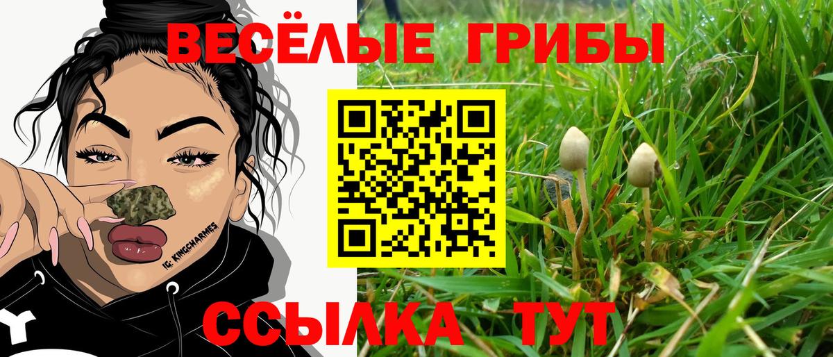 Галлюциногенные грибы Magic Shrooms  Вход с VPN  Видное  Псилоцибиновые грибы Psilocybine cubensis 
